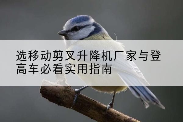 白杨电动升降机厂家-选移动剪叉升降机厂家与登高车必看实用指南