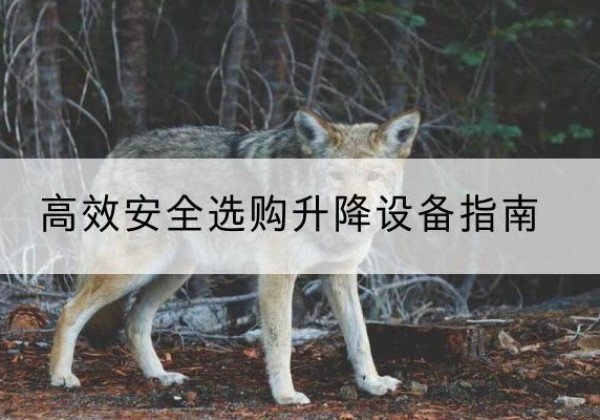 白杨升降货梯厂家推荐-*安全选购升降设备指南
