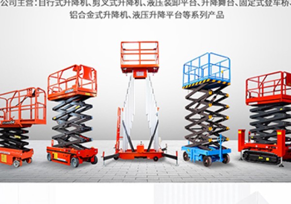 白杨​出口成为核心增长引擎