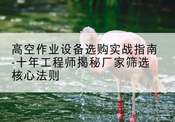 白杨剪叉式升降机厂家-高空作业设备选购实战指南-十年工程师揭秘厂家筛选核心法则