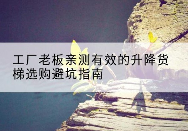 白杨升降货梯怎么选-工厂老板亲测有效的升降货梯选购避坑指南